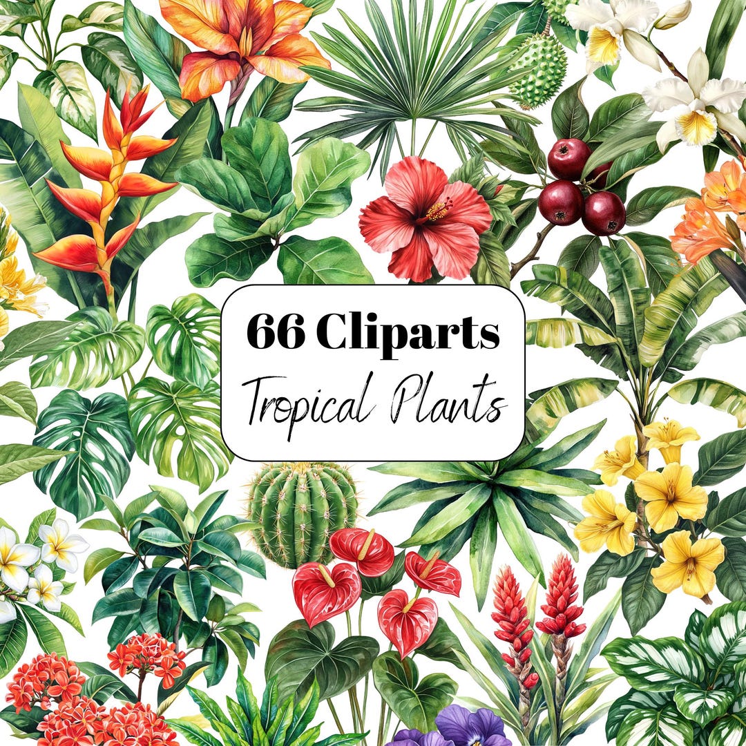 Tropical Plant PNG Clipart, Watercolor Tropical Leaf Clipart Bundle ...