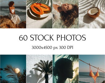 60 Tropical Stock Photos Bundle, Beach Summer Travel Images, Ocean Palm Tree Photography