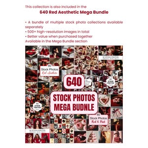 Red Pink Stock Photos, Feminine Branding Images (Digital Download) image 7