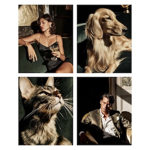 May include: A collage of four images. A person in a black dress holding a glass of champagne, a golden retriever dog, a tabby cat, and a person in a green velvet jacket.