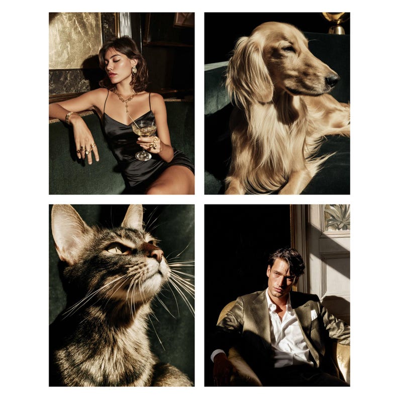 May include: A collage of four images. A person in a black dress holding a glass of champagne, a golden retriever dog, a tabby cat, and a person in a green velvet jacket.