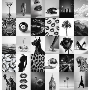 Op de afbeelding: Een zwart-wit collage met een verscheidenheid aan afbeeldingen. Inbegrepen zijn een martiniglas, een schoen met luipaardprint, een close-up van lippen, een vintage telefoon, silhouetten van mensen, wolken, het gezicht van een luipaard, een achtbal, een platenspeler, lippen, een palmboom, bergen, water, discobalkersen, een Dobermann, een been in hakken, een roos, hoge hakken, fruit, een vrouw in een jurk, luipaardprint, een discobal, een stadsgezicht, een brullende luipaard, het Vrijheidsbeeld, lippen, een zwaan, Big Ben, palmbomen en een persoon die loopt.