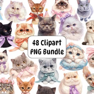 Aquarel kat clipart png, aquarel huisdier clipart bundel, coquette kitten clipart, kat met strik, kat sublimatie ontwerpen, digitale download