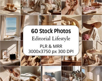 60 Neutral Stock Photos Bundle, Editorial Lifestyle Feminine Images, PLR MRR Branding
