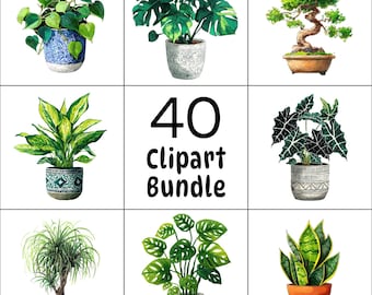 Ensemble d'images clipart de plantes d'intérieur au format PNG, illustrations botaniques à l'aquarelle (téléchargement numérique)