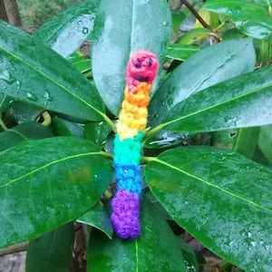 Rainbow Worm