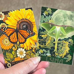 May include: Two rectangular cards featuring nature illustrations. The left card displays a monarch butterfly on a large yellow sunflower with orange and white floral accents. The right card shows a green luna moth against a full moon and foliage with the text LUNA.