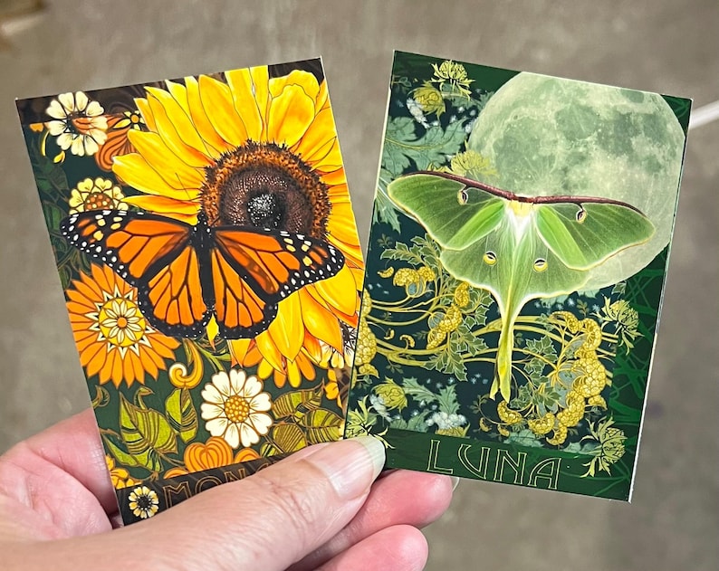May include: Two rectangular cards featuring nature illustrations. The left card displays a monarch butterfly on a large yellow sunflower with orange and white floral accents. The right card shows a green luna moth against a full moon and foliage with the text LUNA.