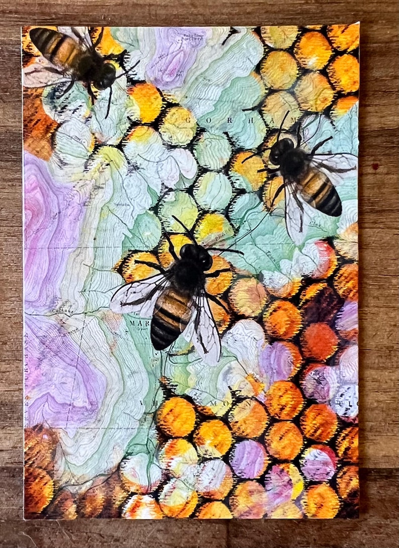 ACEO Art Trading Cards, Luna Moth, Monarch Butterfly, Violets, Bees, Cat Print Honeycomb