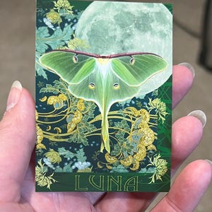 May include: A rectangular card featuring a green luna moth centered against a large pale moon. The background displays dark green foliage with yellow floral accents. The word LUNA is printed in a stylized font at the bottom of the card design.