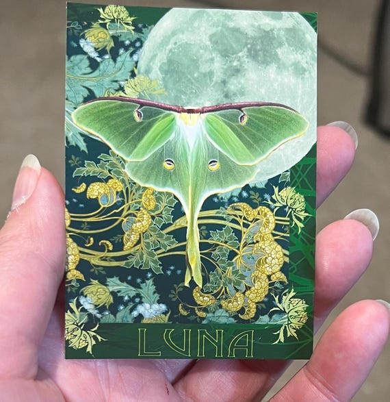 ACEO Art Cards, Luna Moth, Monarch Butterfly, Violets, Bees, Cat Print