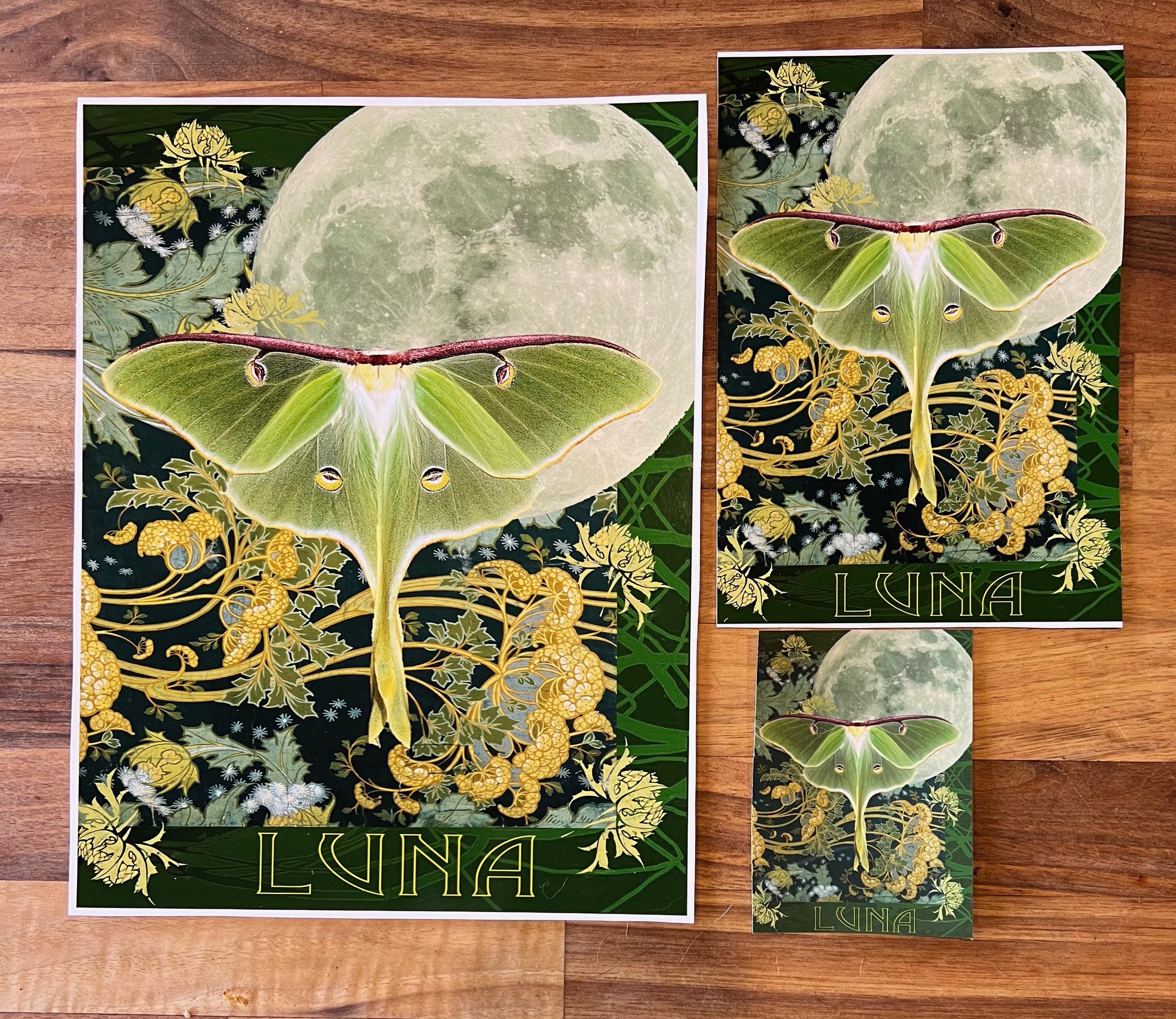 Luna Moth Art Print, Monarch Butterfly Collage, Nature Magnets ...