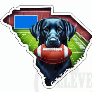 May include: A black Labrador Retriever dog wearing a football jersey with the text "South Carolina" on it. The dog is holding a football in its mouth and is standing in front of a football stadium.