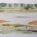 see more listings in the Watercolors section
