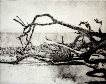 Driftwood Beach 1 original hand printed etching