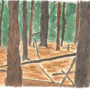 Cook Forest Trail original drypoint with watercolor