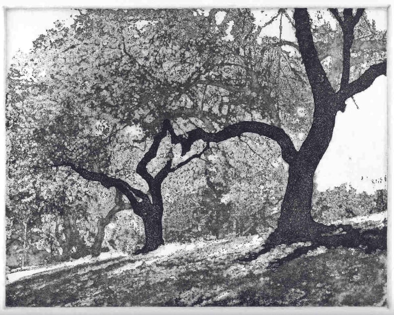 Riverview Trees original hand printed photo etching print image 1