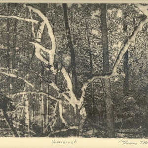 UNDERBRUSH  etching limited edition signed and numbered