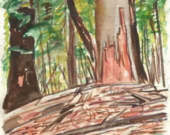 Cook Forest View watercolor on handmade paper, Framed