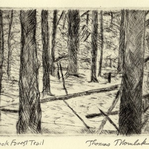 Cook Forest Trail original drypoint etching
