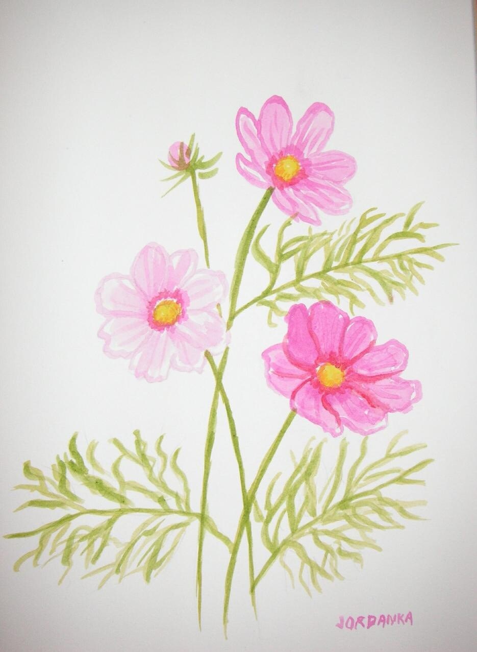 Cosmos flowers Original Acrylic painting by Jordanka Yaretz Etsy