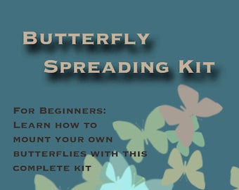 Butterfly Mounting Kit for Beginners, with Real Butterflies and Tools