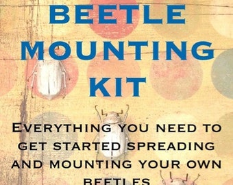 Beetle Mounting Kit for Beginners, with Real Beetles and Tools