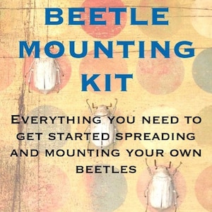 May include: A beetle mounting kit with the text "BEETLE MOUNTING KIT EVERYTHING YOU NEED TO GET STARTED SPREADING AND MOUNTING YOUR OWN BEETLES" on a yellow background with colorful circles.