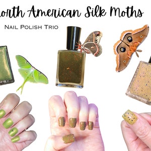 North American Silk Moths Nail Polish Collection