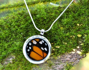 Real Monarch Butterfly Wing Pendant Necklace Reversible