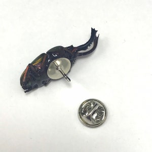 Real Sawtooth Beetle Pin or Brooch image 5