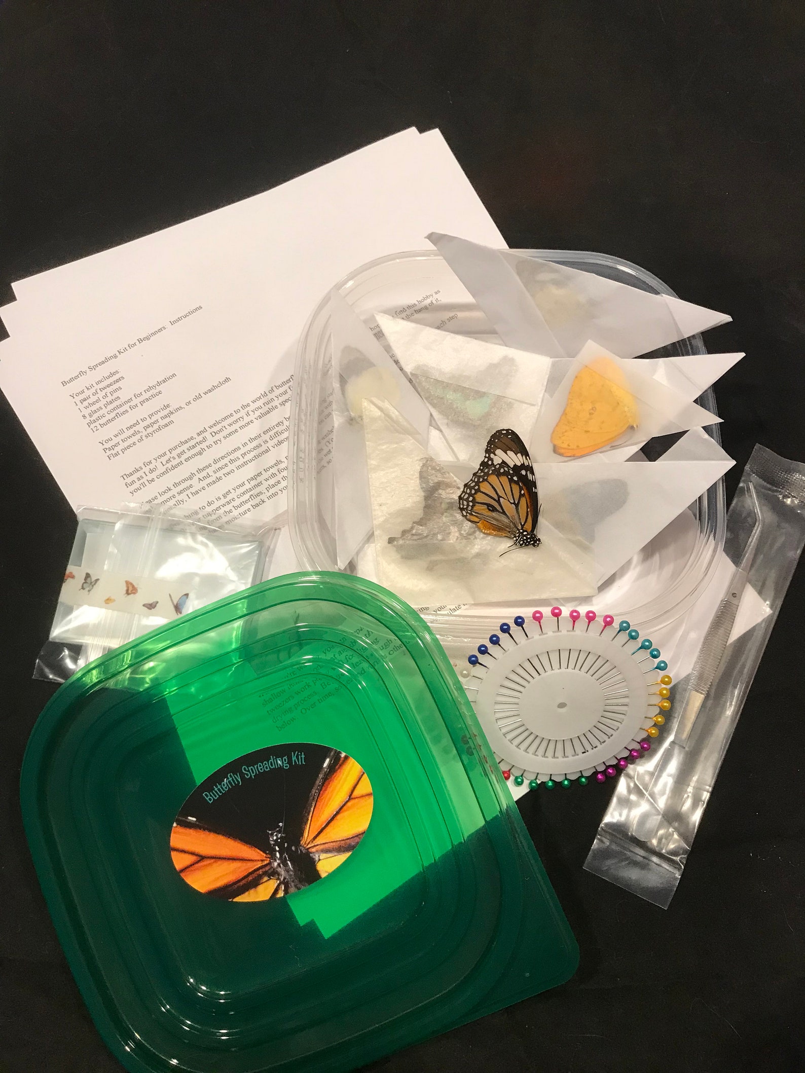Butterfly Mounting Kit for Beginners With Real Butterflies Etsy