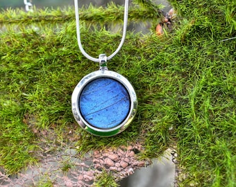 Halsband med hänge i äkta blått Morpho-fjärilsvinge