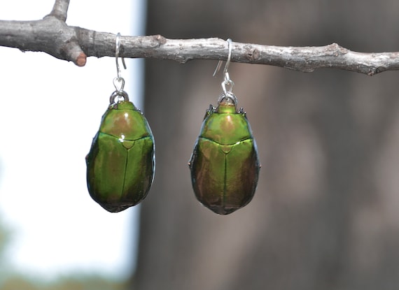 Green beetle best sale earrings