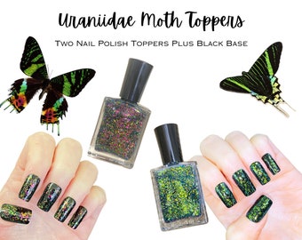 Uraniidae Day Flying Moths Nail Polish Collection