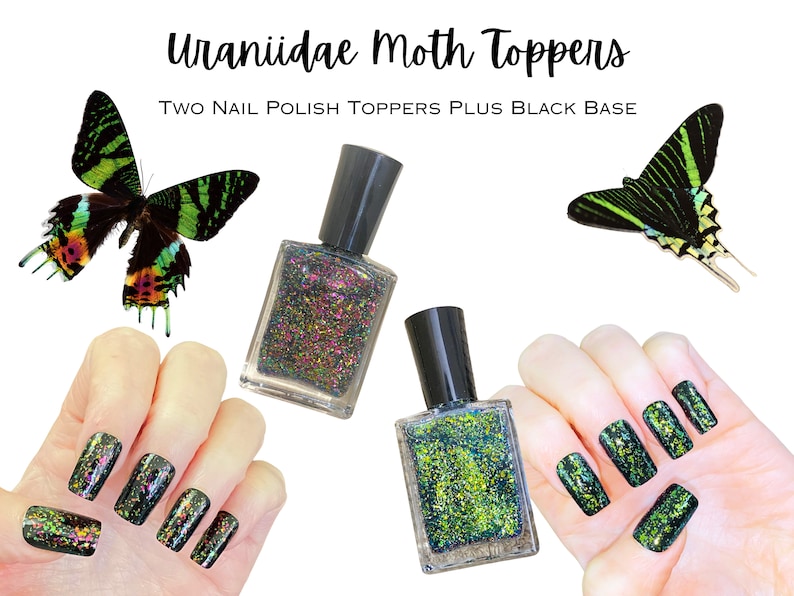 Uraniidae Day Flying Moths Nail Polish Collection image 1