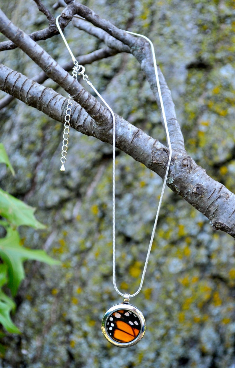 Real Monarch Butterfly Wing Pendant Necklace Reversible Etsy