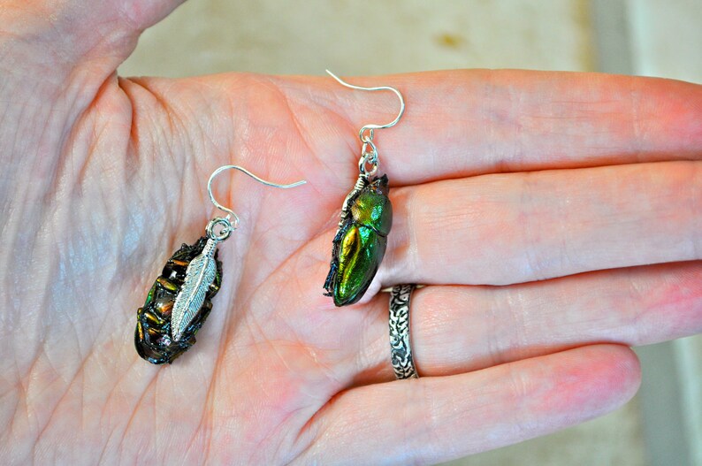 Floating Real Stag Beetle Earrings Green & Rust Moonrise Kingdom Movie image 3
