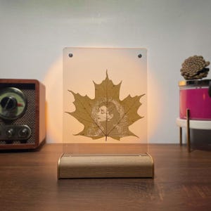 Peut inclure: Lampe de table décorative avec un motif de feuille d'érable et un portrait de femme. La feuille est enfermée dans un panneau acrylique transparent, éclairé par une lumière chaude. La base est en bois et en métal. Un objet de décoration unique.