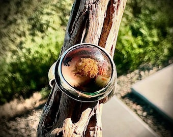 Priday Plume Agate Ring