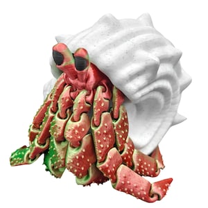 3D Printed Animals Hermit Crab Articulated Toy - Multicolor Toys for Fidgeting, Satisfying and Educational Gift for Kids and Adults
