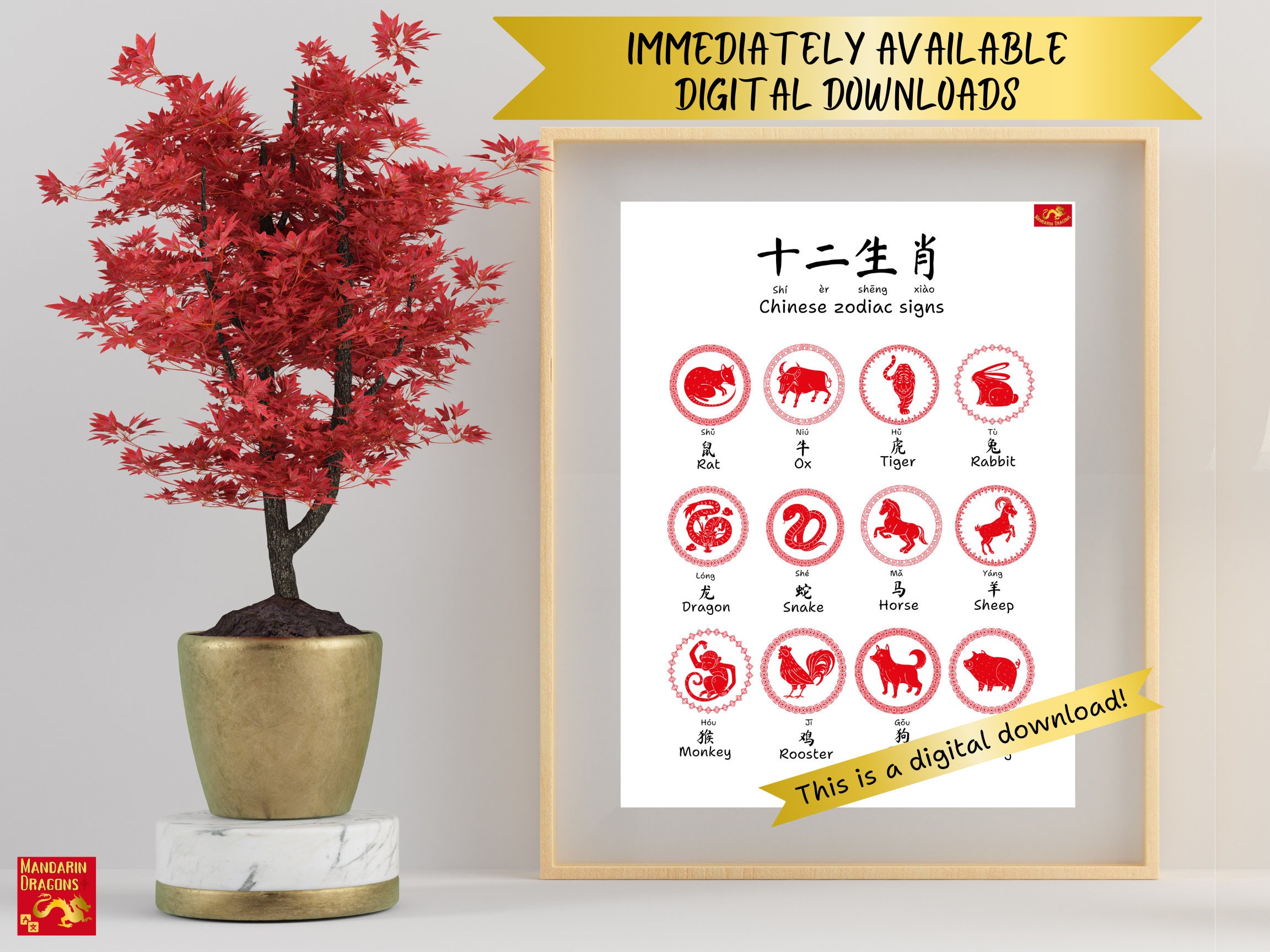 Mandarin Chinese Poster - 