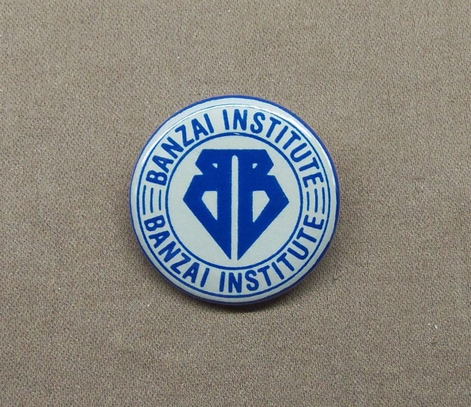 Buckaroo Banzai Movie Blue Blaze Irregulars Embroidered Logo Patch