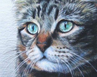 Hand-Drawn Custom Pet Portrait 11 x 14 Colored Pencil Art by Carla Kurt cat dog horse best etsy shop