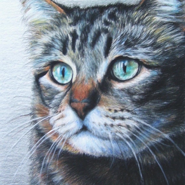 Cat Pet Portrait 8 x 10 Colored Pencil Art by Carla Kurt cat dog horse memorial Hand-Drawn Custom