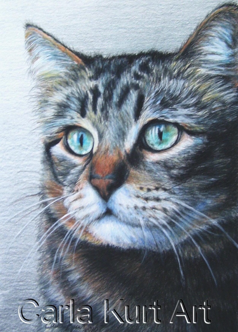 Cat Pet Portrait 8 x 10 Colored Pencil Art by Carla Kurt cat dog horse memorial Hand-Drawn Custom image 1