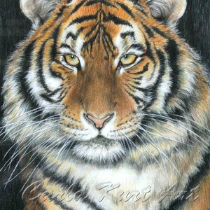 SONGHA Tiger by Carla Kurt signed print image 1