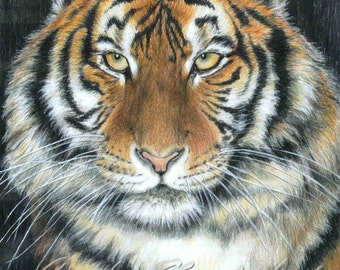 SONGHA Tiger by Carla Kurt signed print