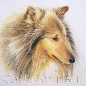 Custom Pet Portrait 8 x 10 colored pencil Art by Carla Kurt image 1