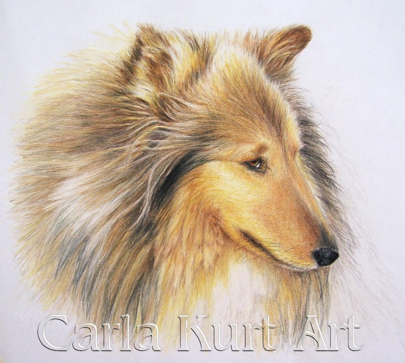 Custom Pet Portrait 8 x 10 colored pencil Art by Carla Kurt image 1